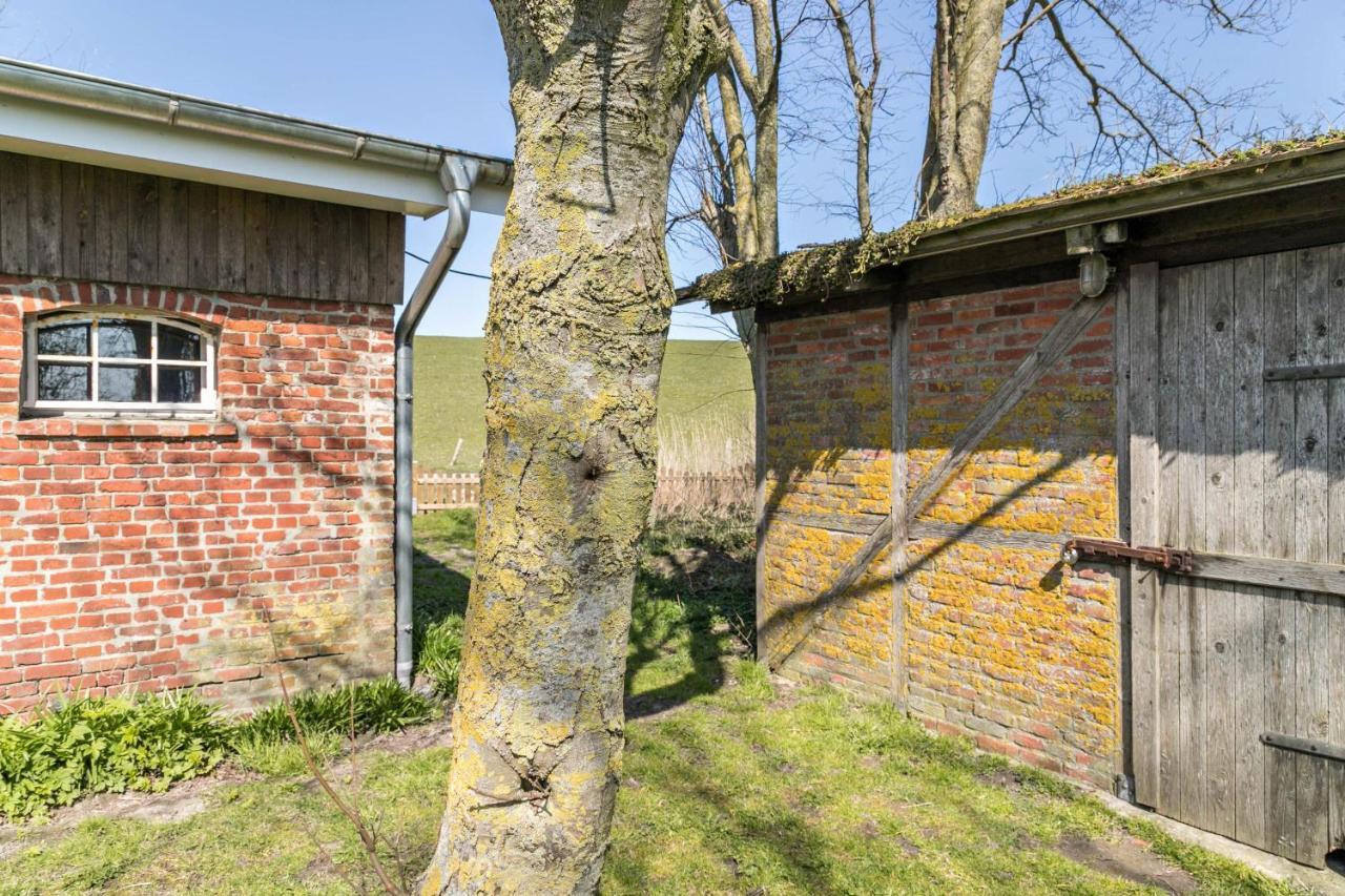 Deichgraf 1 Apartment Friedrichskoog Exterior photo